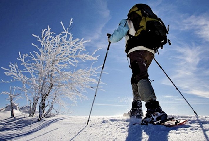 Winterabenteuer in der Arctic Panorama Lodge