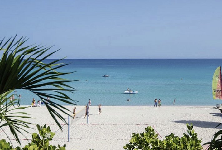 Starfish Cuatro Palmas