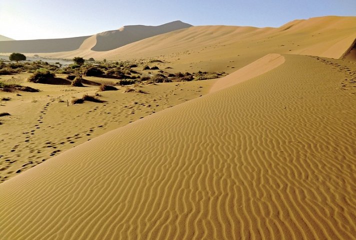 Namibia Classic Standard