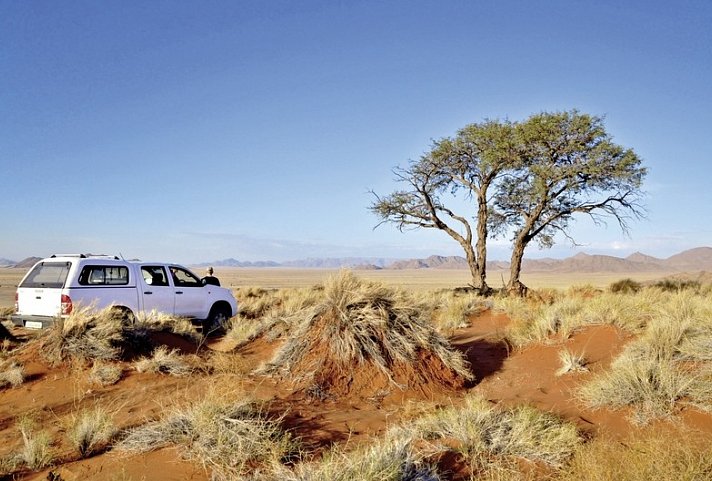 Namibia Entdeckungstour (südliche Richtung) - Kalahari