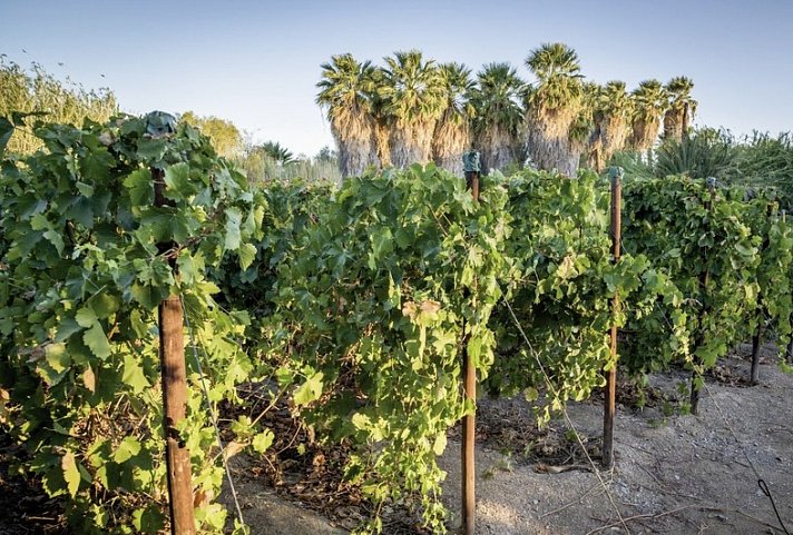 Das ist Namibia! - Neuras Wine & Wildlife Estate