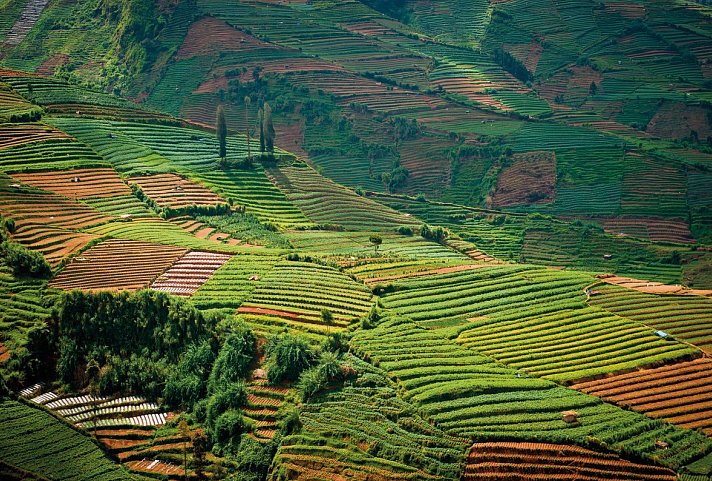 Natur, Kultur und Tradition (Gruppenreise) - Dieng Plateau, Java