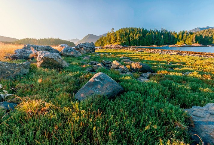 Vancouver Island - Pacific Rim Nationalpark