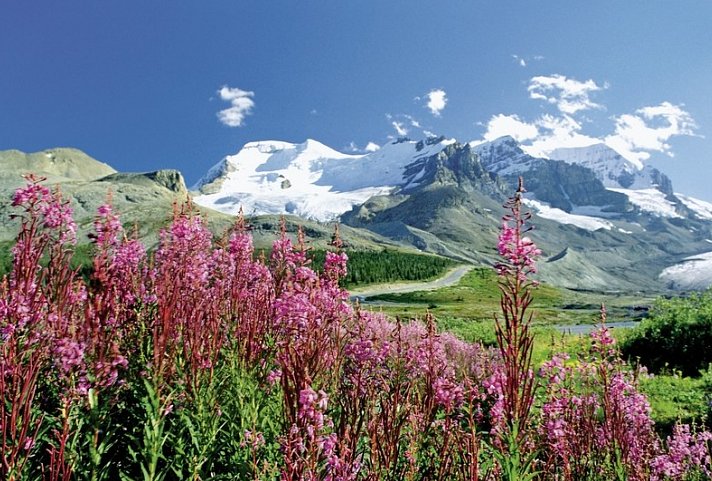 Westkanada & Rocky Mountaineer (13 Nächte) - Icefields Parkway