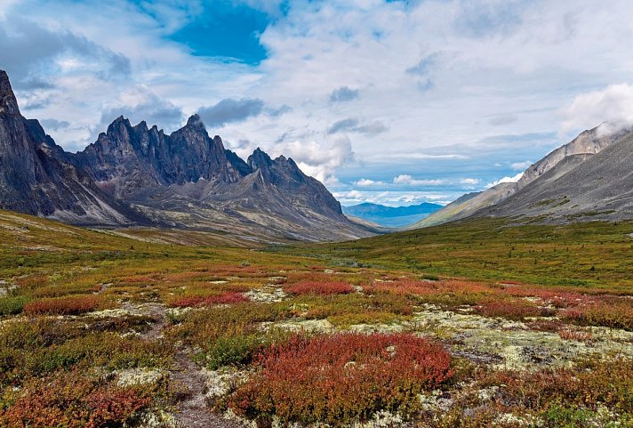 Arktischer Ozean, Tundra & Dempster Highway (Südroute) - Tombstone Valley