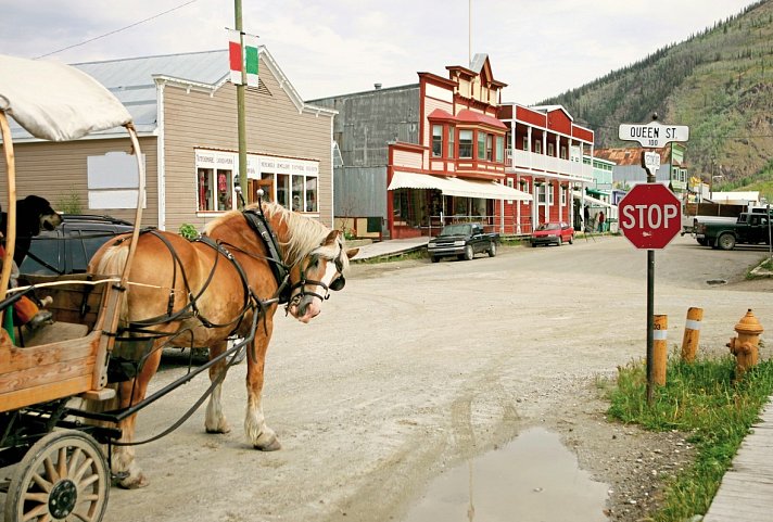 Arktischer Ozean, Tundra & Dempster Highway (Südroute) - Dawson City
