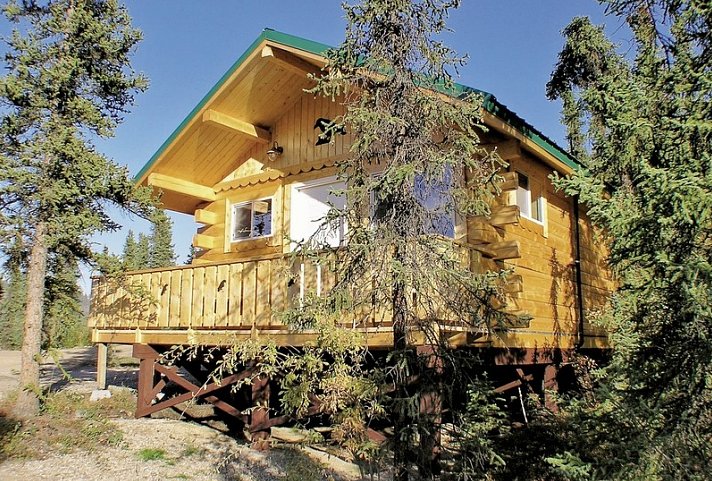 Denali Grizzly Bear Resort