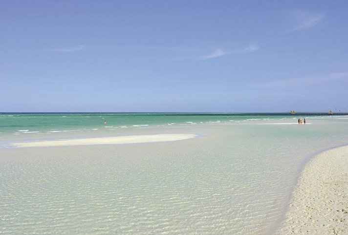 Vigia