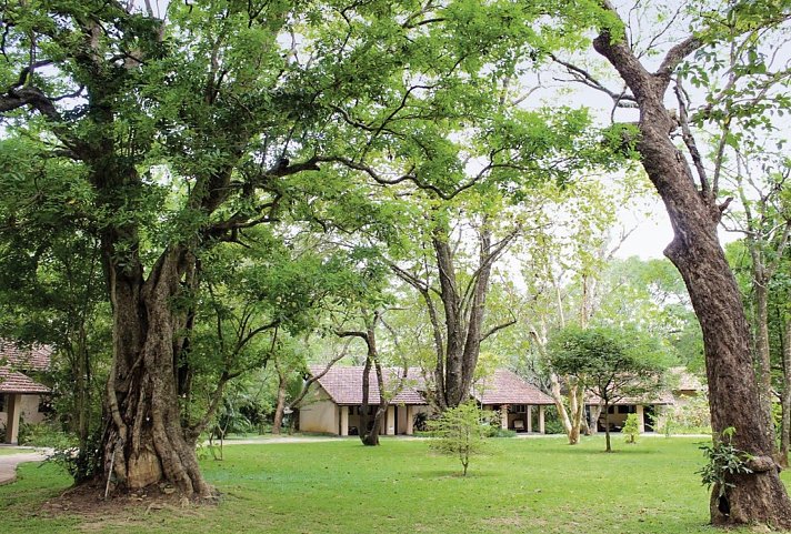 Sigiriya Village