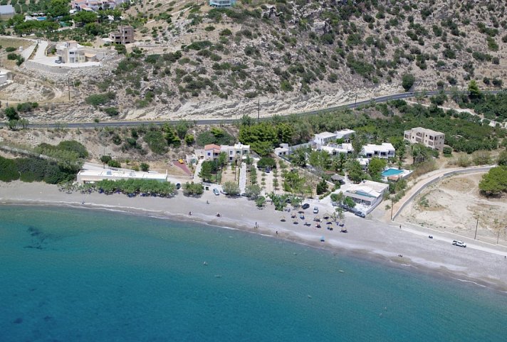 Avra Palm