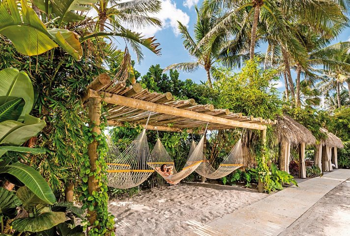 The Palms Hotel & Spa