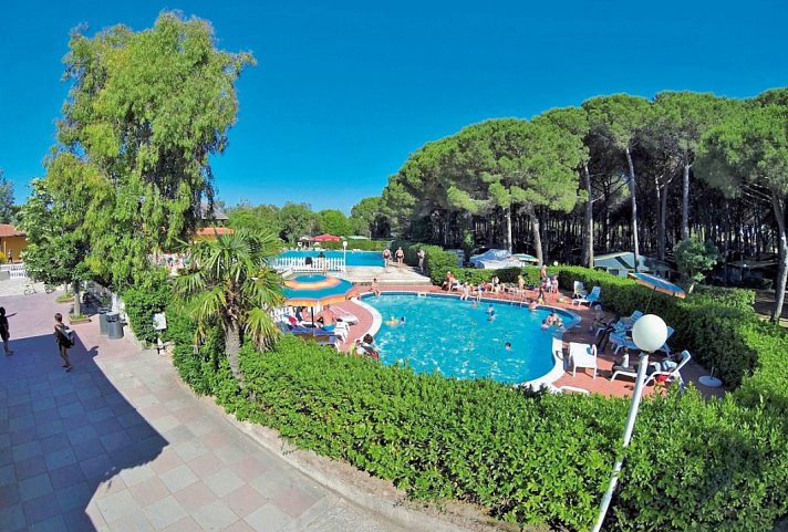 Camping Free Beach (by Happy Camp)