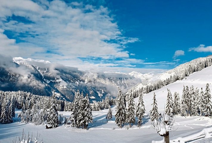 Naturhotel Miraval - Wohnbeispiel Doppelzimmer Bergfauna (Zimmercodierung DB1)