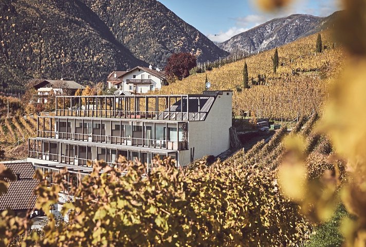 Haller Suites & AO Restaurant