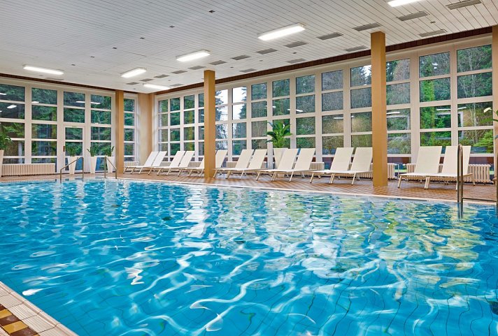Wellness Hotel Svornost