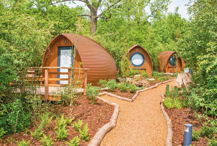 Glamping Resort Biosphäre Bliesgau - Wohnbeispiel Naturhotelzimmer (Zimmercodierung DB1)