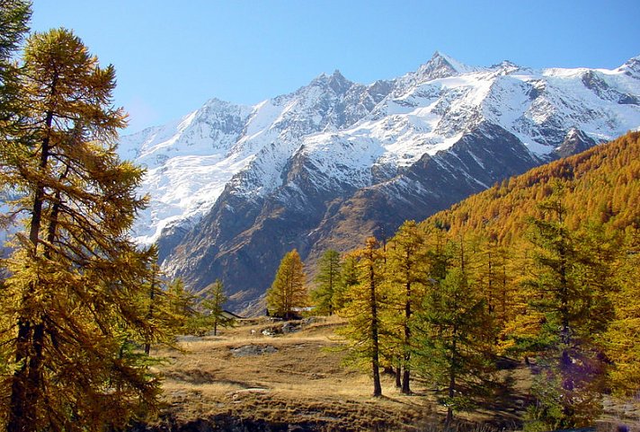 Hotel-Restaurant Eden