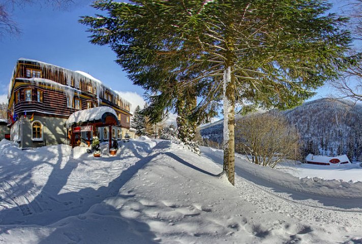Alpský Hotel