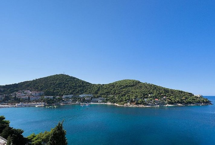 Vis