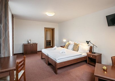 Pytloun Wellness Hotel Hasištejn Místo