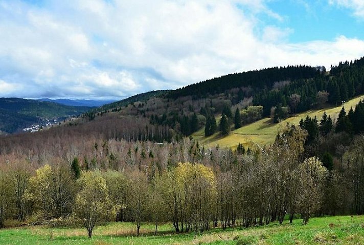 Pytloun Wellness Hotel Hasištejn