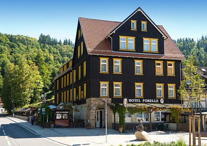 Ferienhotel Forelle Thale