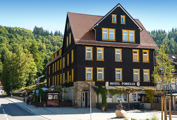 Ferienhotel Forelle
