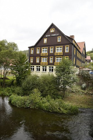 Ferienhotel Forelle