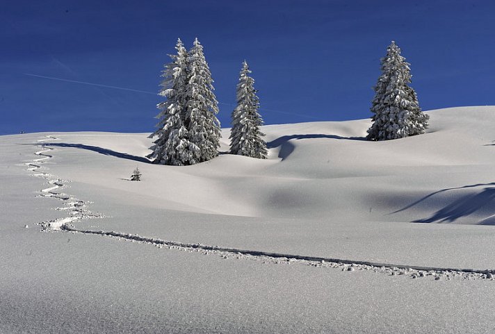 Golf & Alpin Wellness Resort Hotel Ludwig Royal