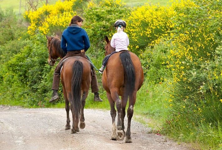 Fattoria Pieve A Salti