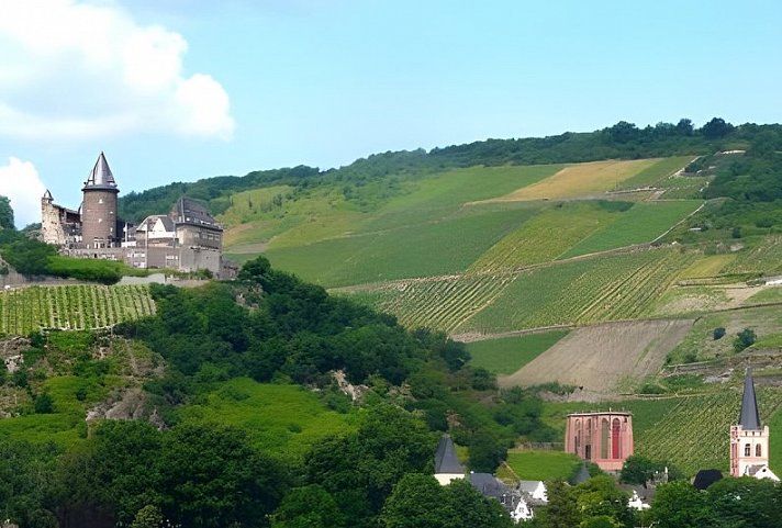 Gasthaus Weingut Stahl