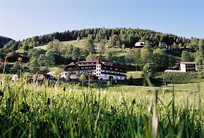 Stigenwirth