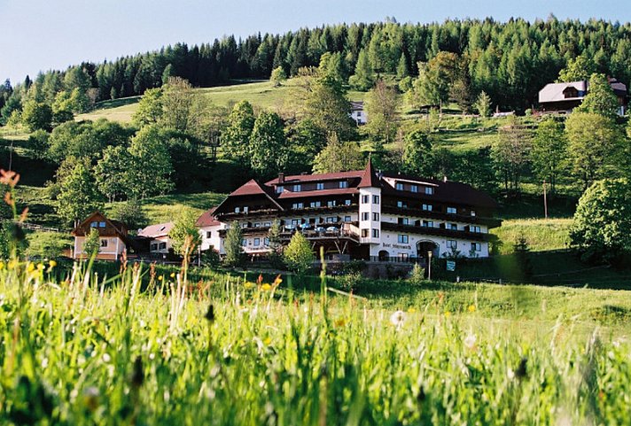Stigenwirth