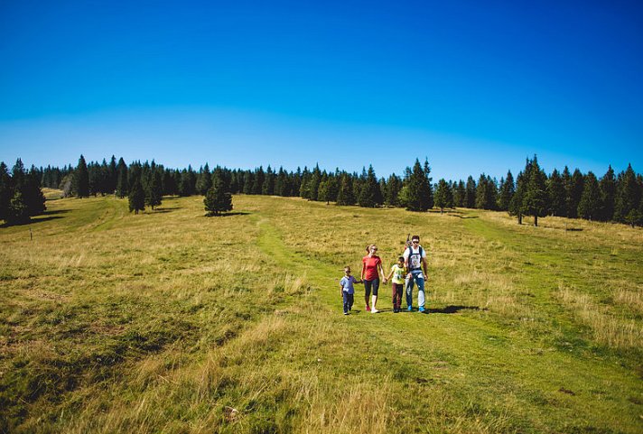 Hotel Rogla