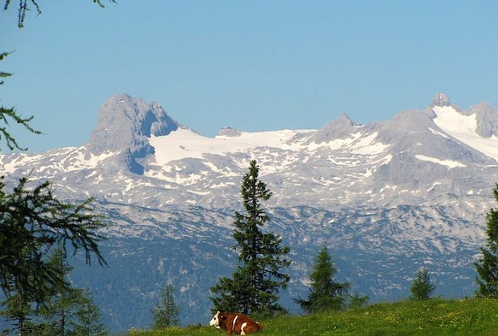 Hotel Berghof Tauplitzalm