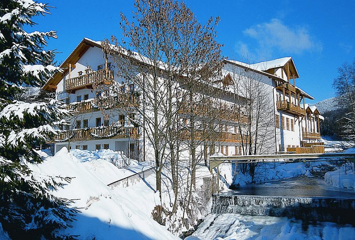 Das Arber-Hotel am Rothbach