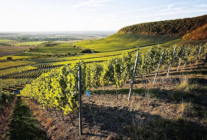 Vital Hotel An Der Therme