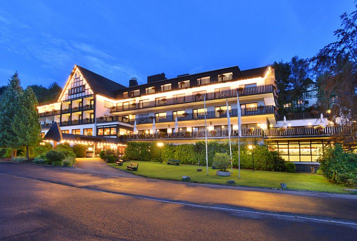Sauerland Alpin Hotel