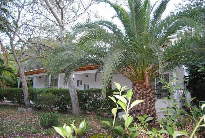 Sóller Garden