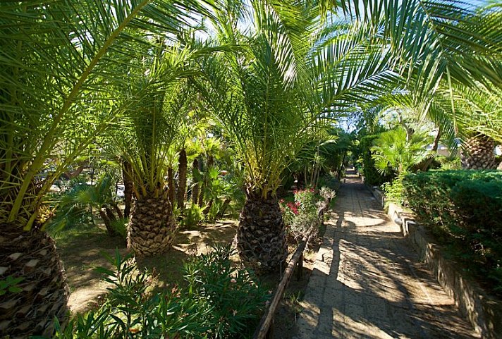 Residence Solemaremma