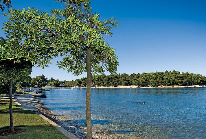 Hotel Zorna Plava Laguna