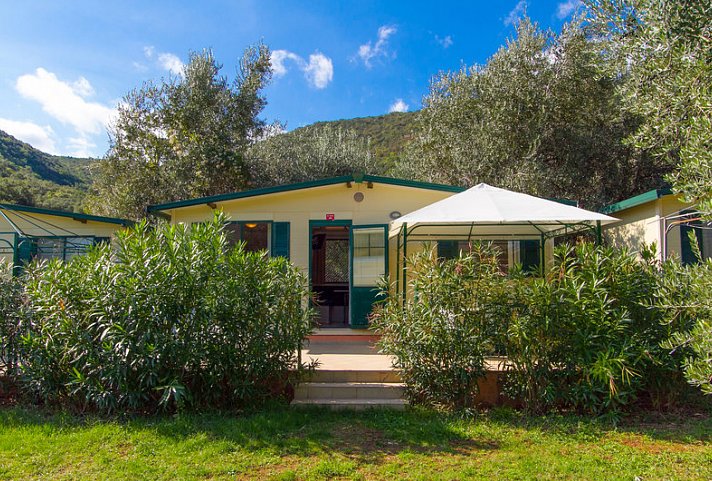 Oliva Camping