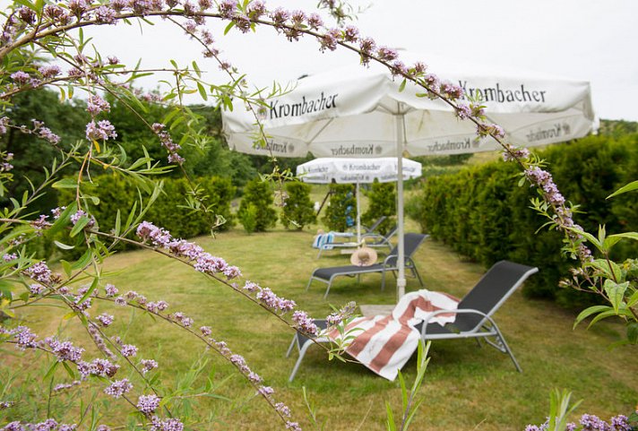 Pension Deichgraf