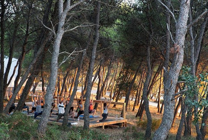 Glamping Forest lodges