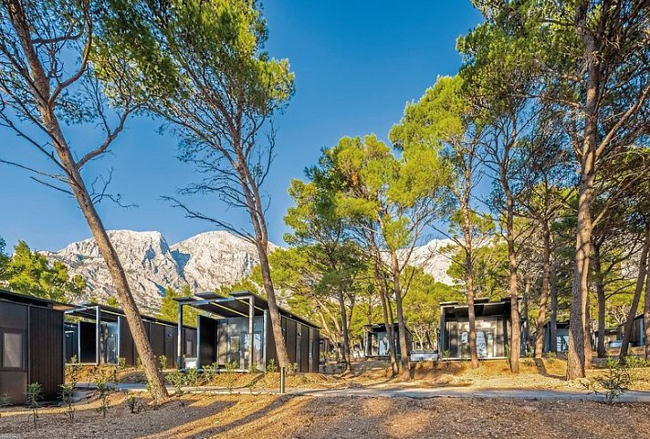 Pinadria Adriatic Coast