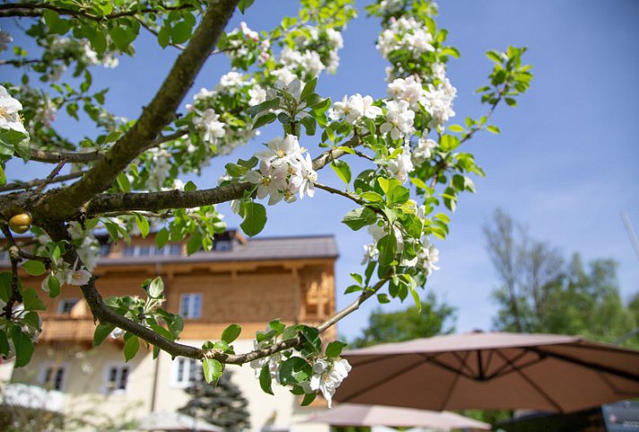 Försterhof