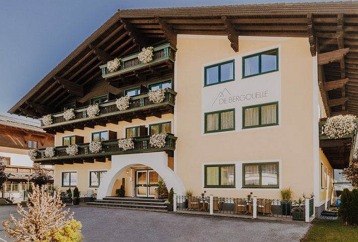 Die Bergquelle