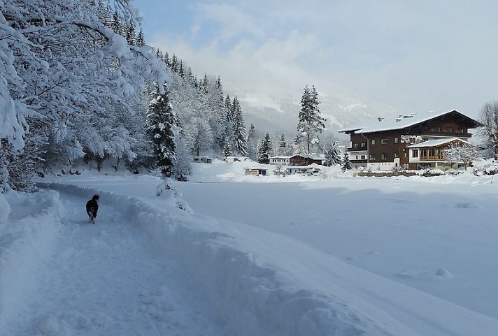 Hotel Bad Neunbrunnen