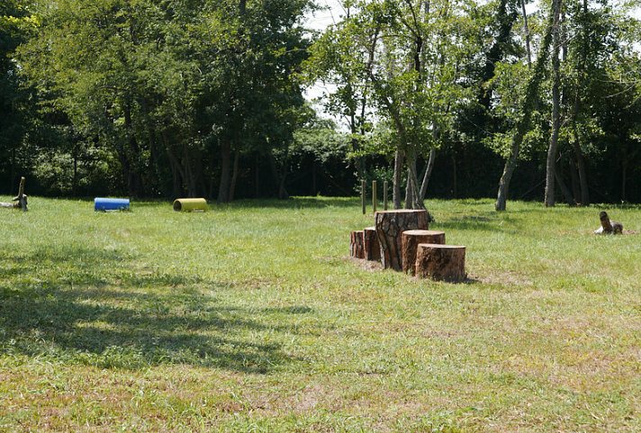 Belvedere Pineta Camping Village