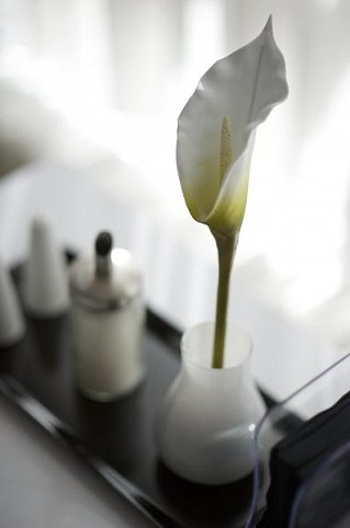 Good Morning Berlin City West